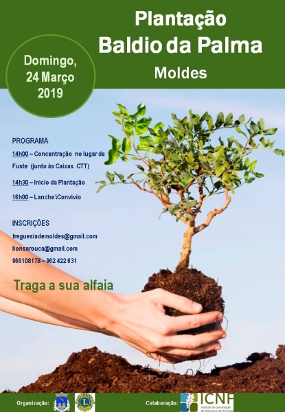 Ação de plantação no baldio da Palma