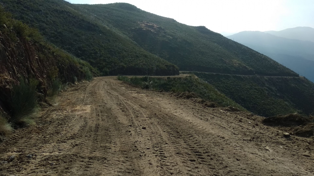 Beneficiação de caminho florestal no Viso 